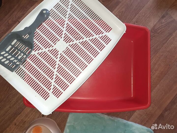 Когтеточка, лоток