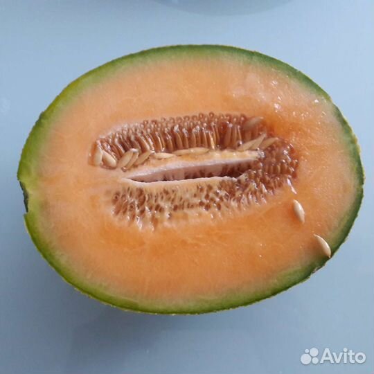 Семена редких овощей и дыни