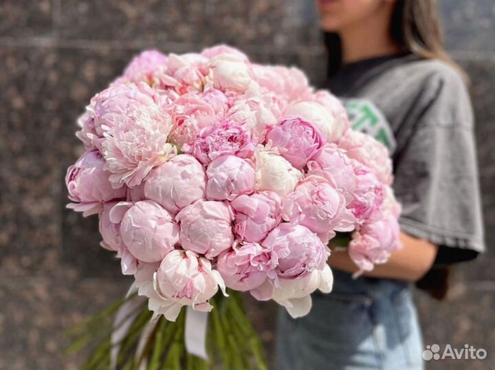 Букет из 41 пиона