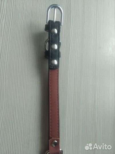 Ошейник собачий