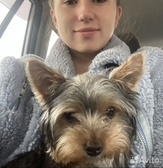 Передержка животных