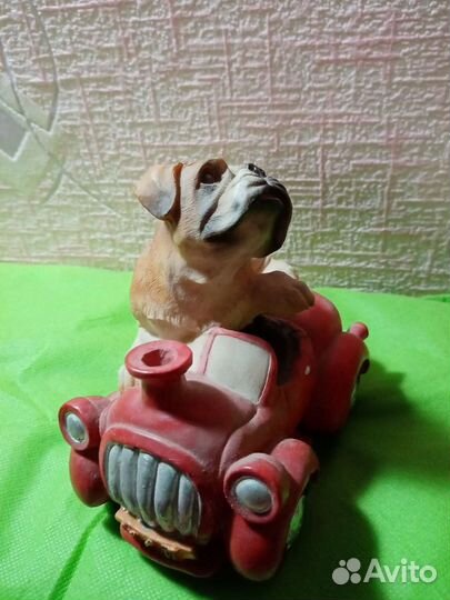 Собаки много