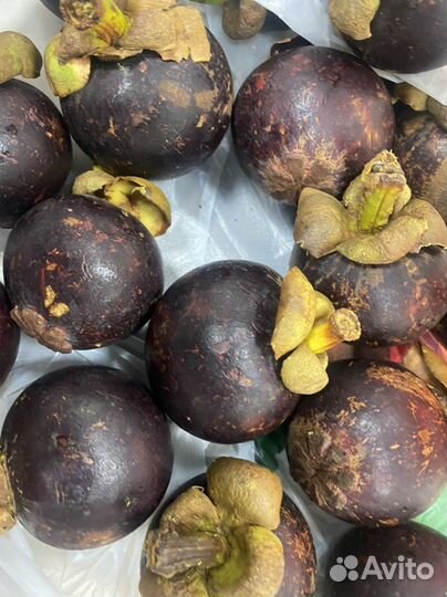 Мангустины Колумбия