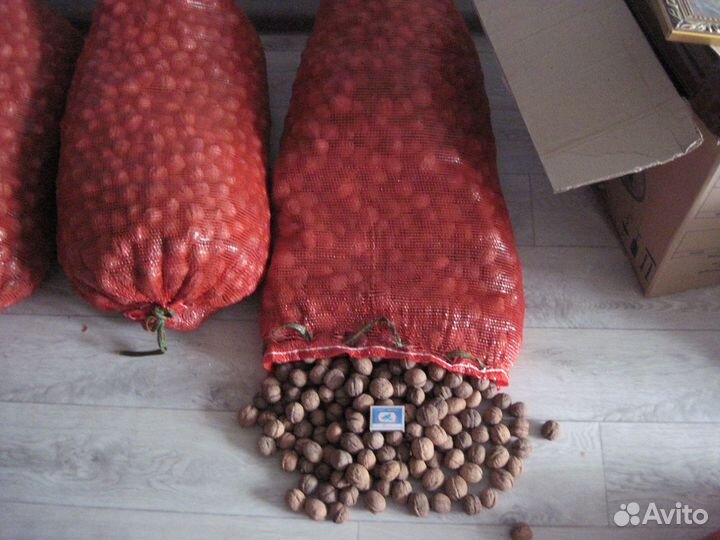 Орех грецкий