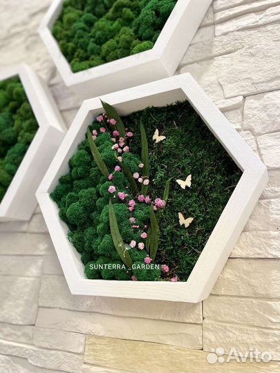 Полка сота. Полка настенная со мхом. Декор