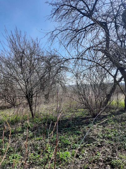 Участок 30 сот. (СНТ, ДНП)