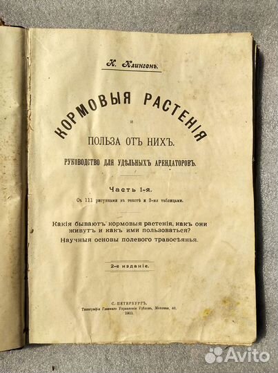 К. Клинген. Кормовые растения и польза от них