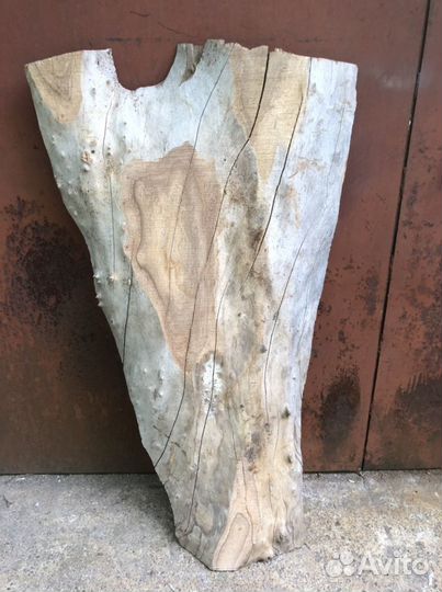 Слэб карагача