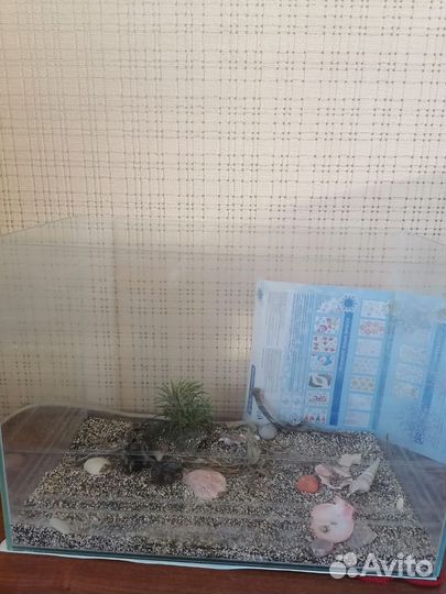 Аквариум