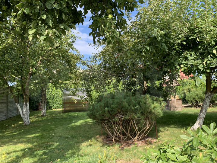 Комната 30 м² в 3-к., 1/1 эт.