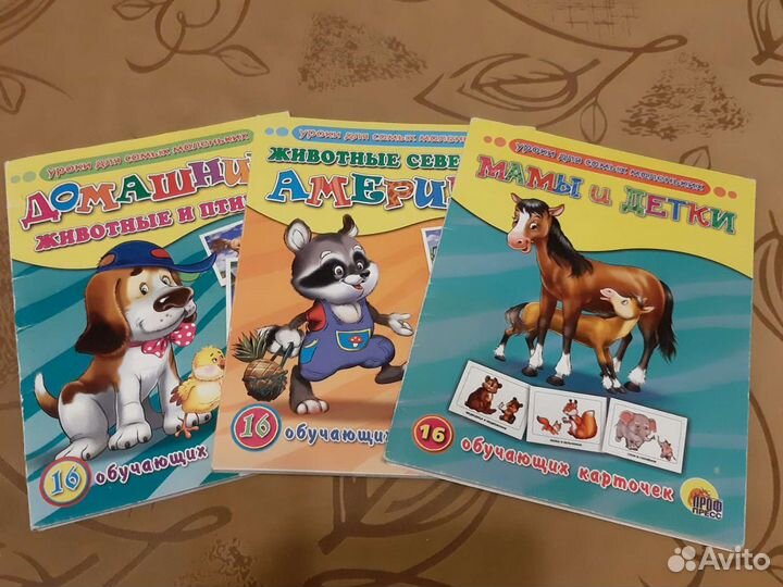 Пакет развивающих игрушек