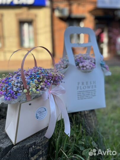 Гипсофила радужная