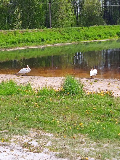 3-к. квартира, 49,6 м², 1/1 эт.