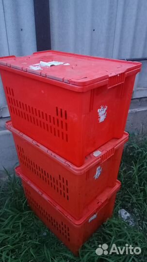 Ящики/контейнеры из толстого пластика,прочные