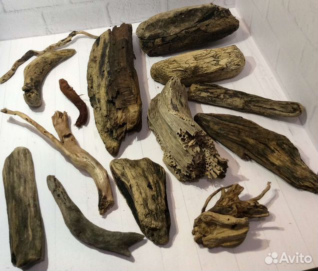 Дрифтвуд, коряги, камни, стекло, ракушки, плитка