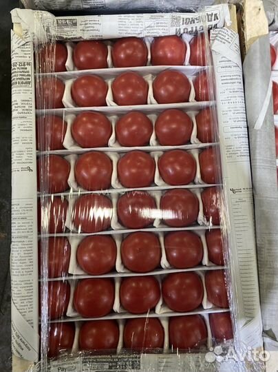 Узбекские Помидоры