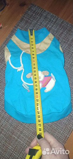 Костюм для маленькой собачки