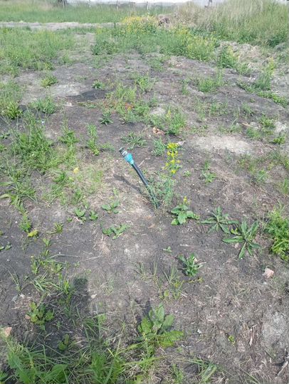 Участок 8 сот. (ИЖС)