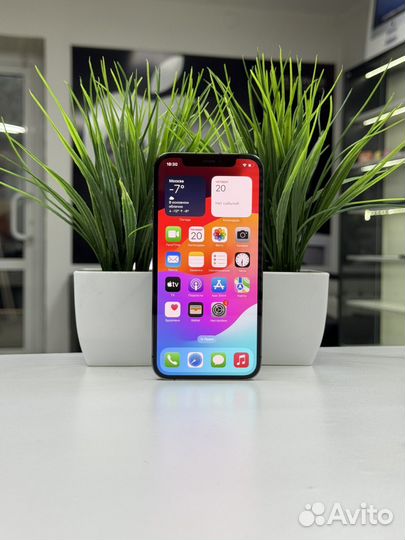 iPhone 12 Pro, 512 ГБ