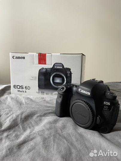 Зеркальный фотоаппарат Canon EOS 6D Mark II