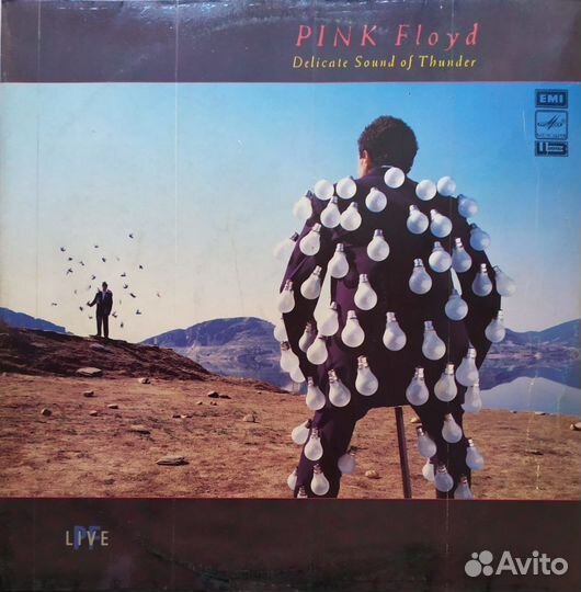 2LP - Pink Floyd - Delicate Sound Of Thunder /Ussr