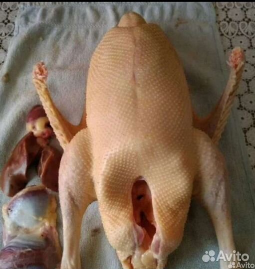 Мясо индоутки гуся