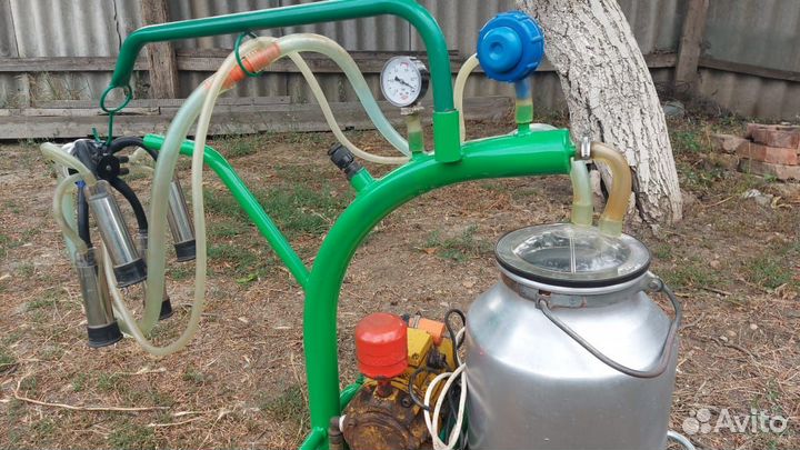 Доильный аппарат для коров