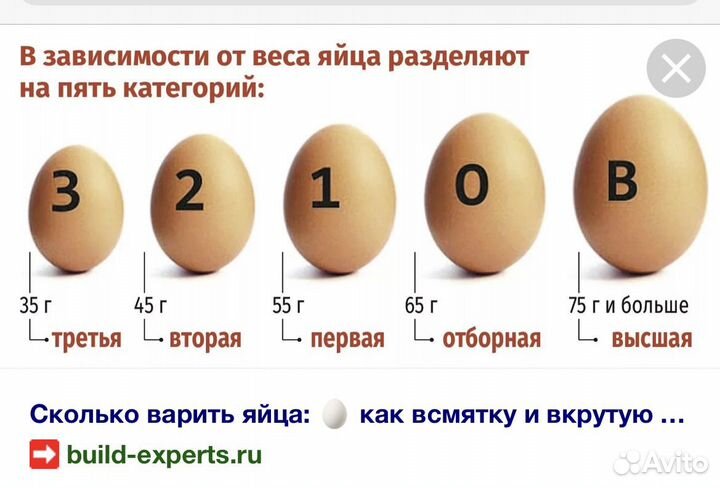 Яйцо куриное пищевое