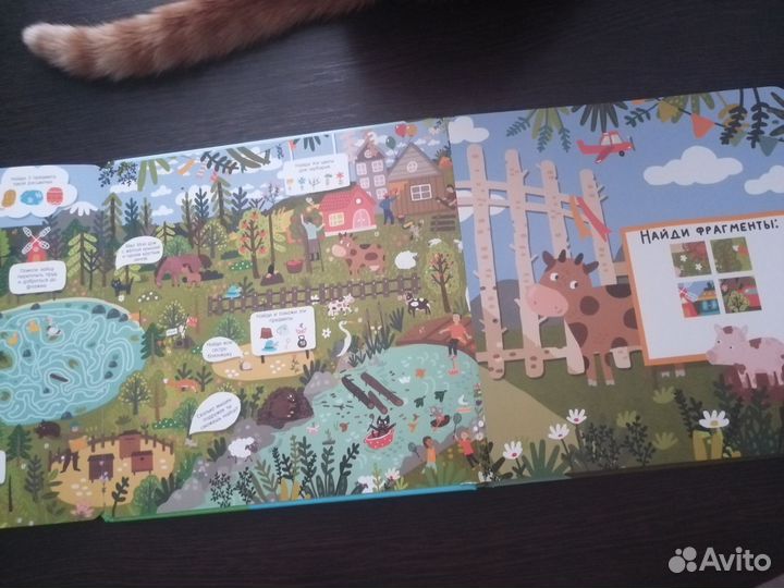 Гигантская книга Найди и покажи. Животные