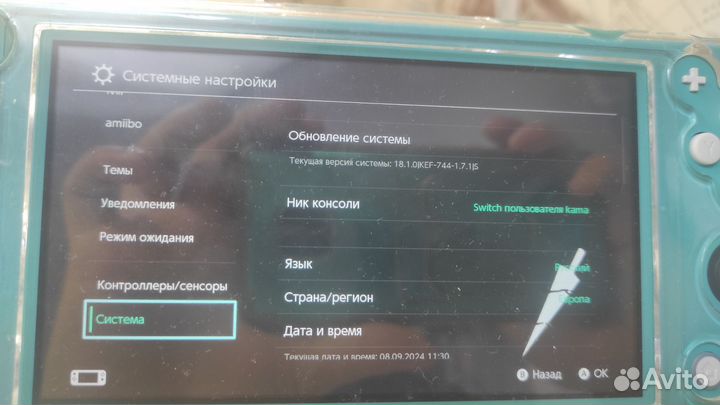 Nintendo switch lite прошитая 64GB