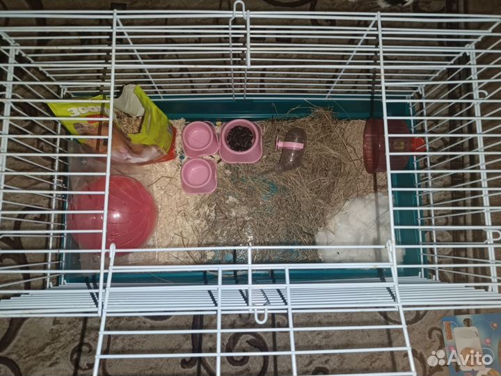 Клетка для грызунов