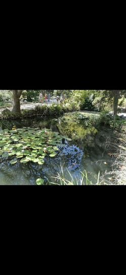 2-к. квартира, 60 м², 3/6 эт.