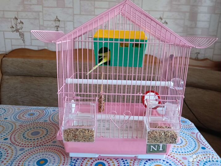 Волнистый попугай с клеткой