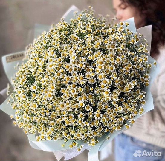 Цветы ромашки. Букеты ромашек. Цветы доставка