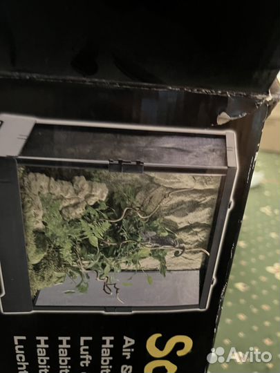 Террариум для рептилий