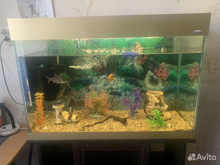 Аквариум