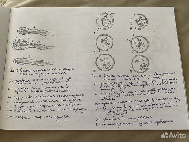 Альбомы для студентов
