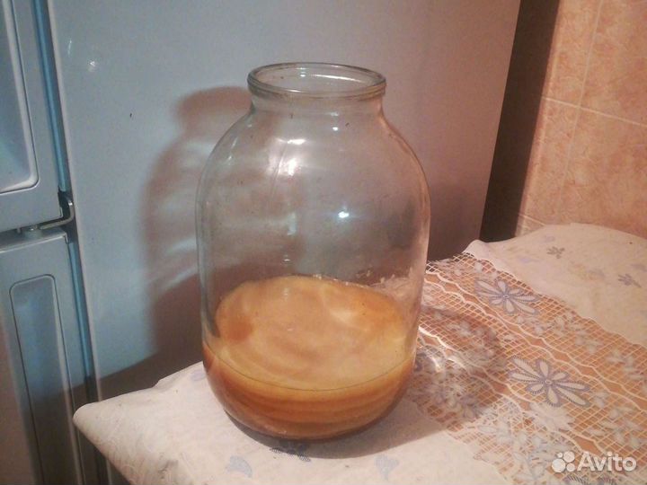 Чайный гриб