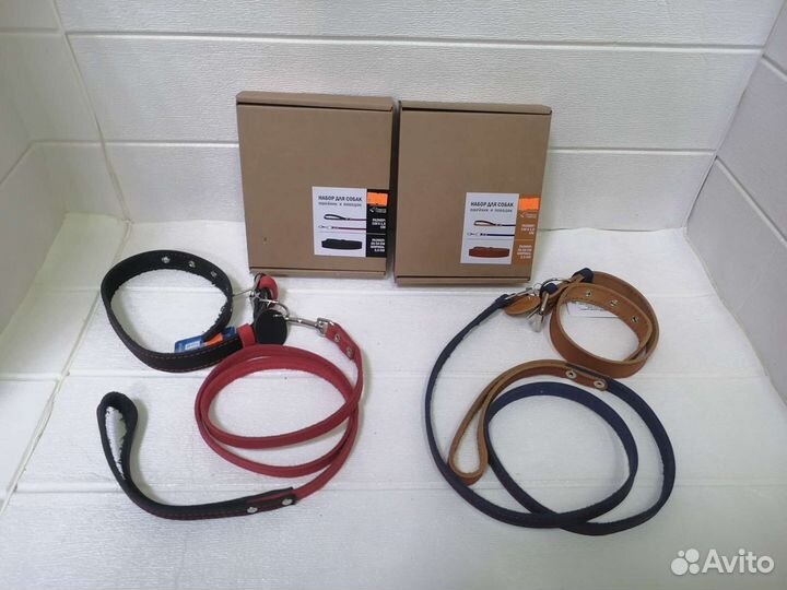Ошейник и поводок
