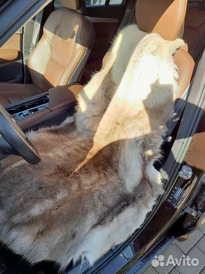 Шкура заполярного оленя выделанная