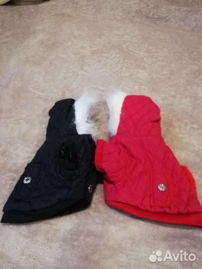 Одежда для животных