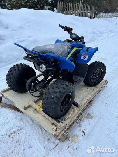 Квадроцикл Cfmoto Cforce 110