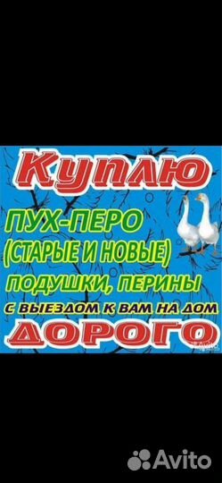 Закупаем пух перо