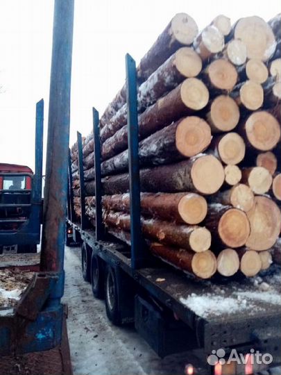 Лес кругляк