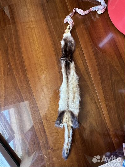 Шкура песца,хорька и лисы