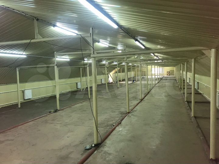 Свободного назначения, 320 м²