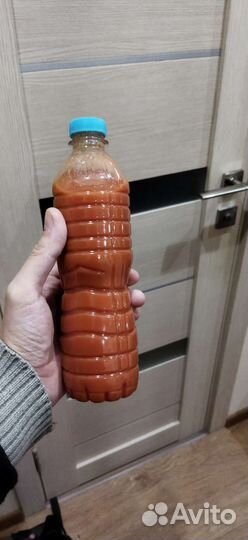 Винный гриб