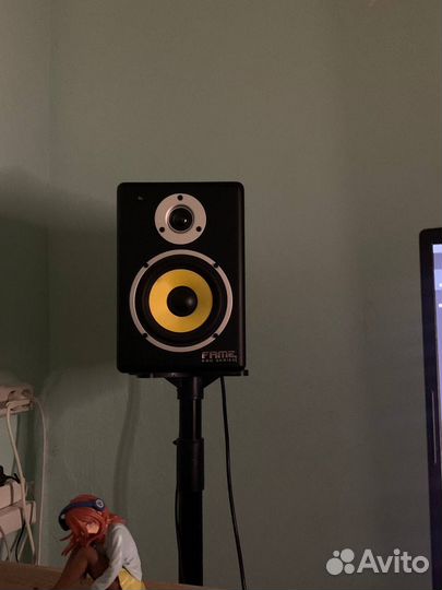 Fame rpm 5 мониторы