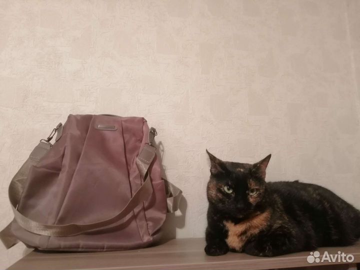 Смартфон Huawei Nova Y70