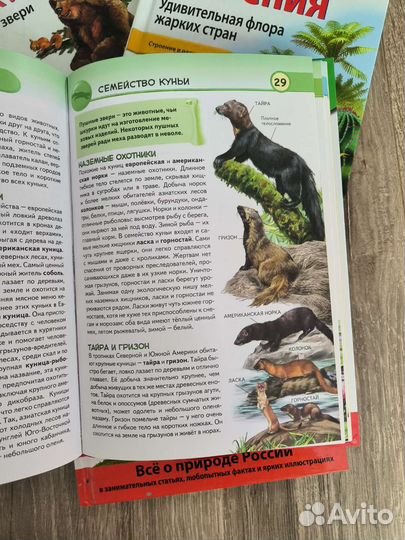 Энциклопедия для детей